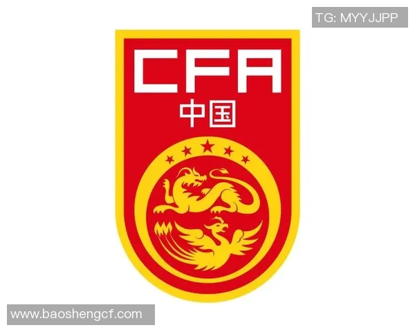 2016年国奥足球队的奋斗历程与挑战分析：从失利到希望的转变之路